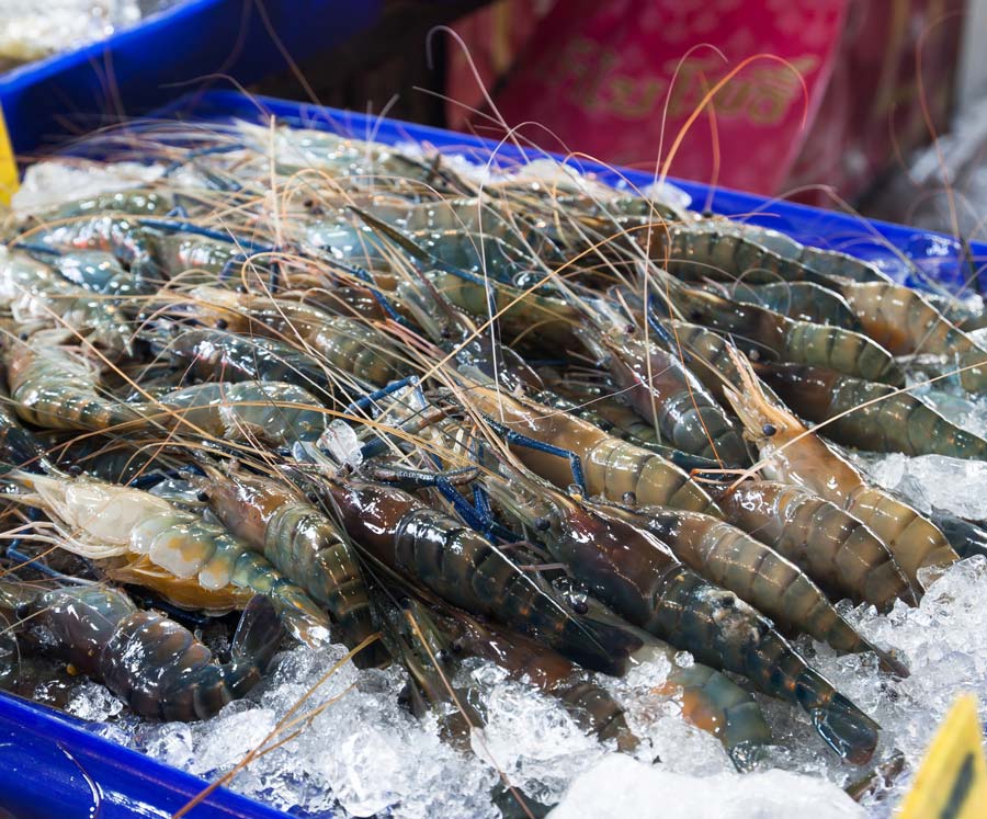 Aquaculture technology and fisheries industry