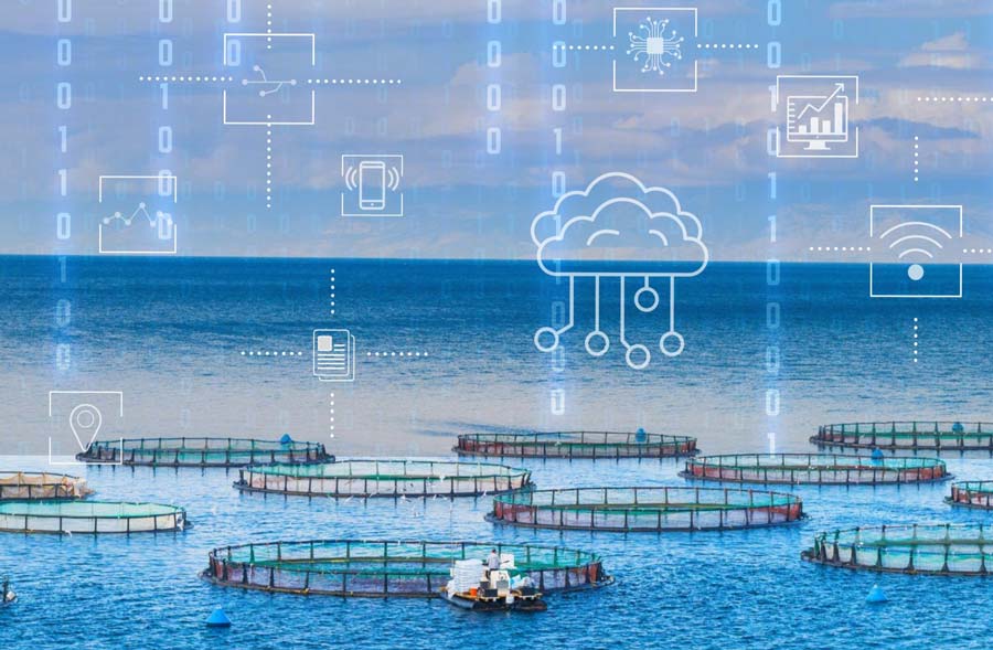 Digital aquaculture smart farming technology and IoT solutions